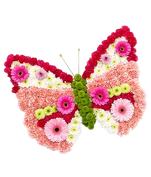 butterfly-flowers
