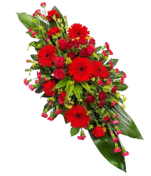 Red Flowers