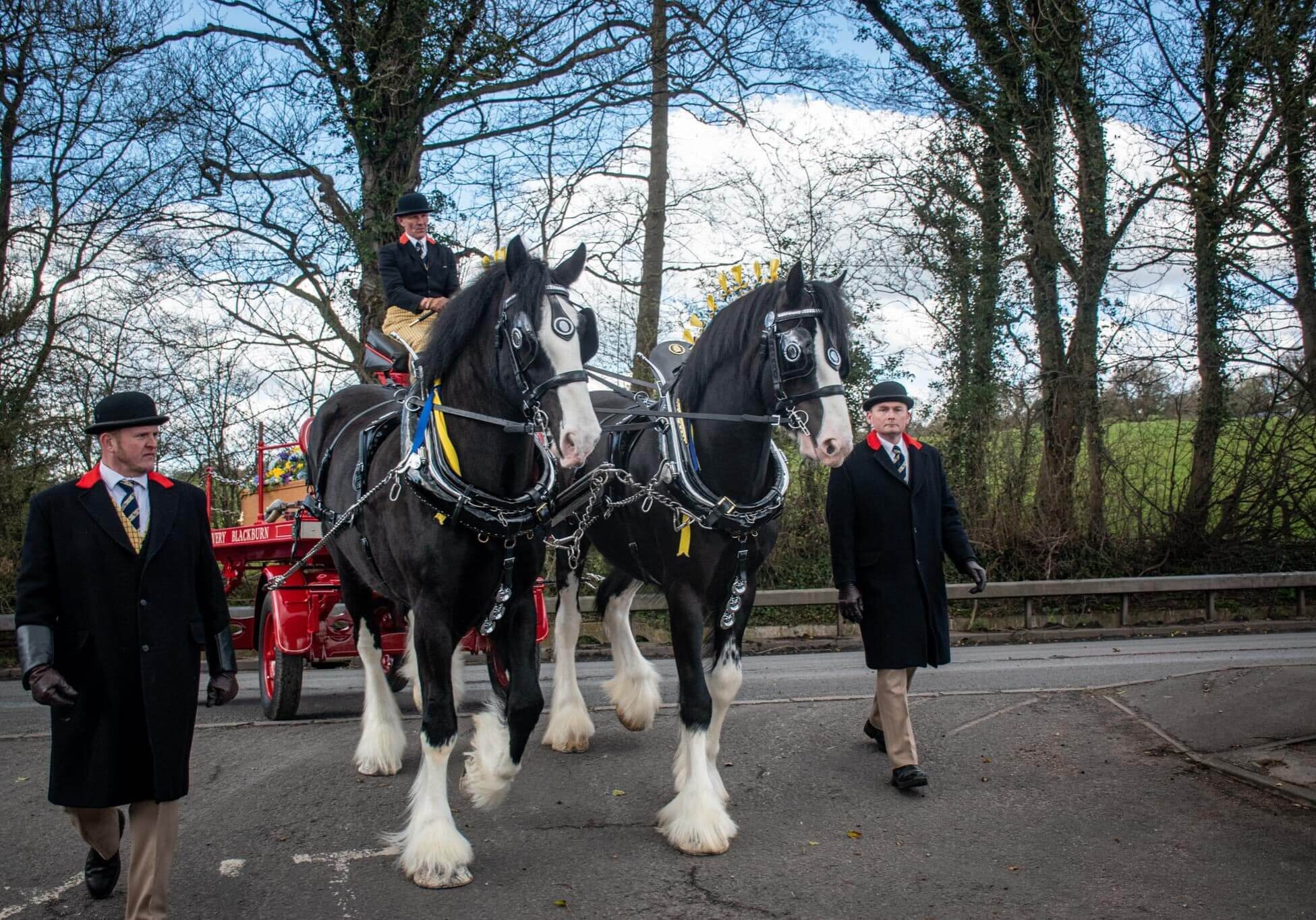 upton 277588940_2248858368598842_6585875592191022880_n (1)