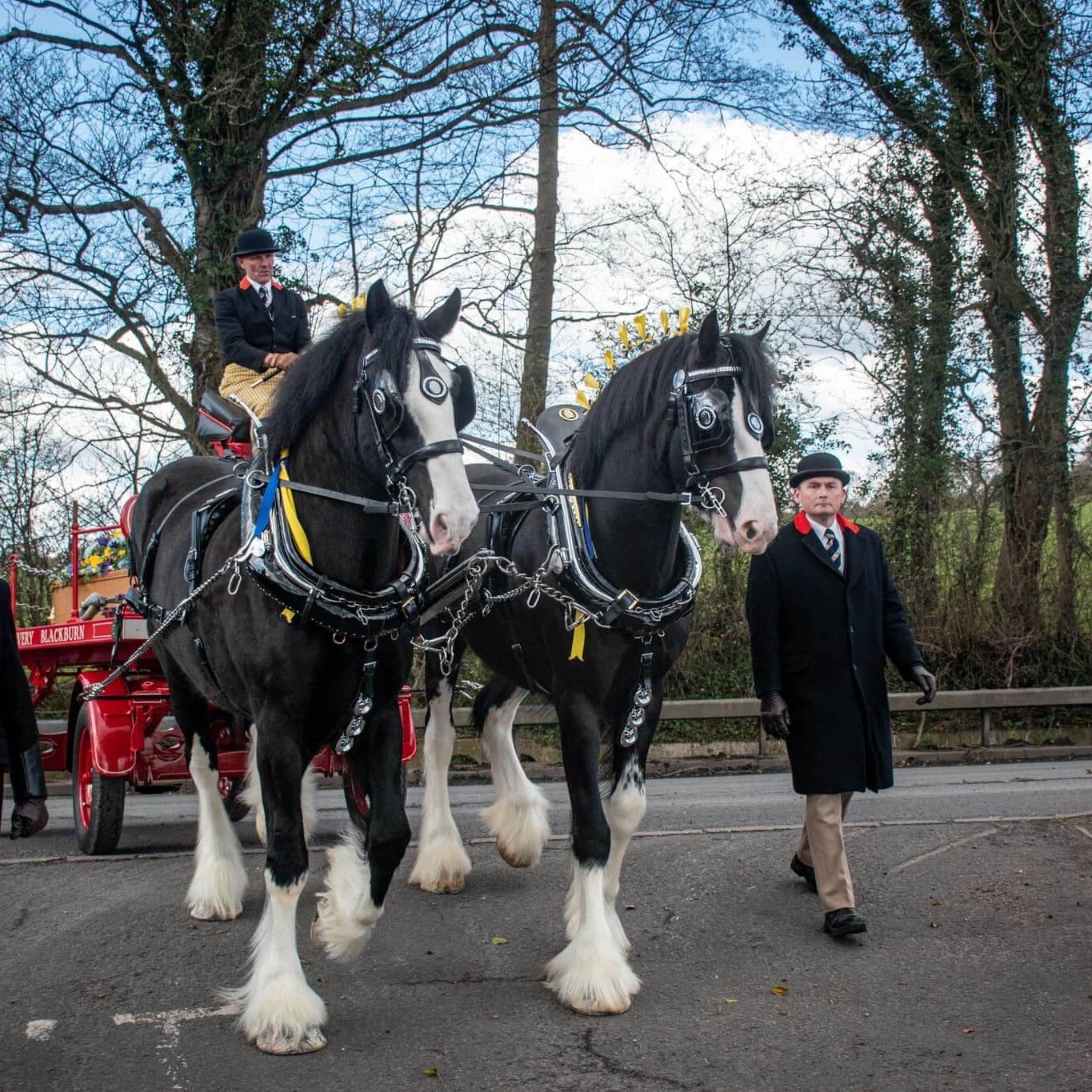 upton 277588940_2248858368598842_6585875592191022880_n (1)