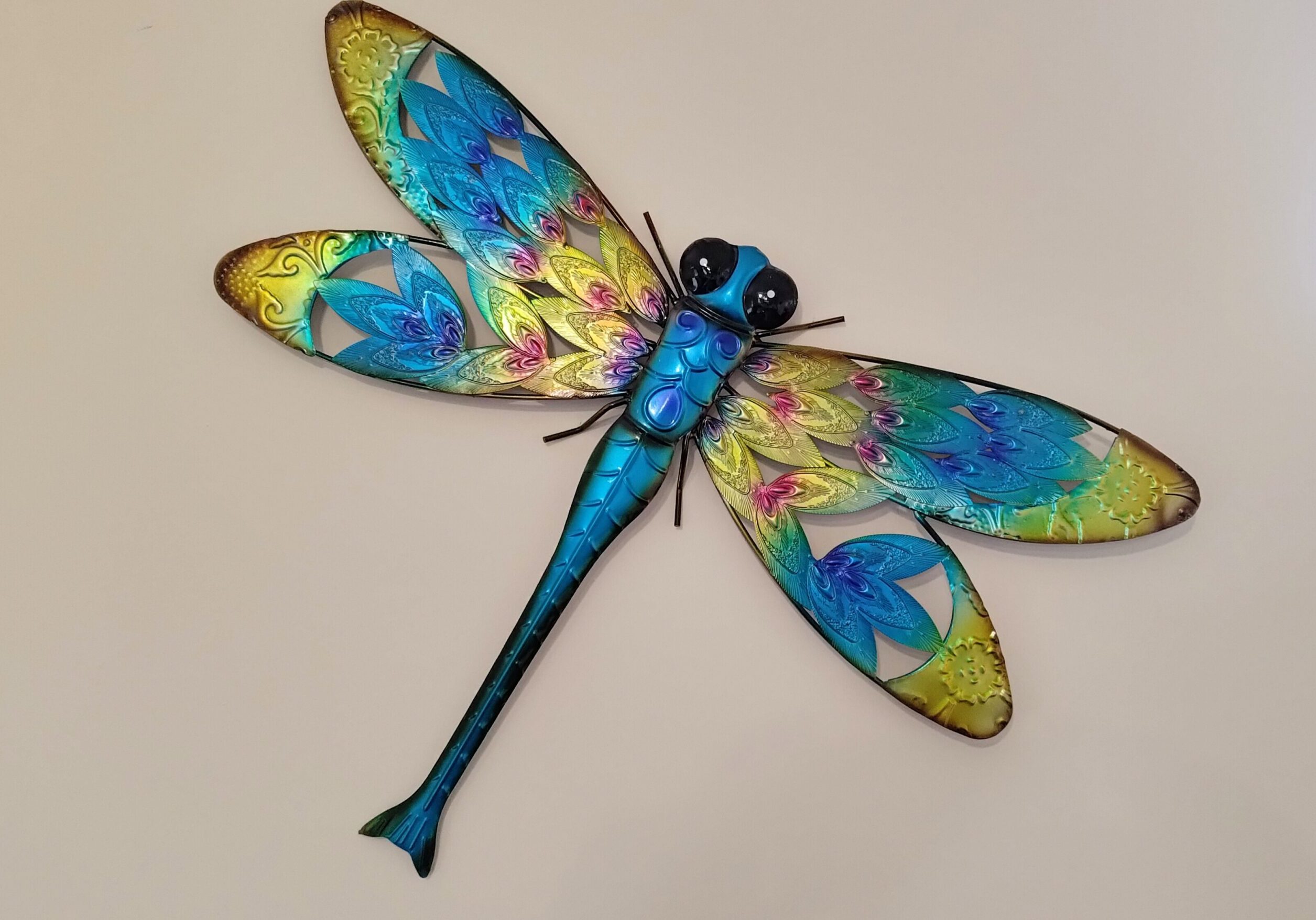 Tarvin P_20230920_153808_1 (1)